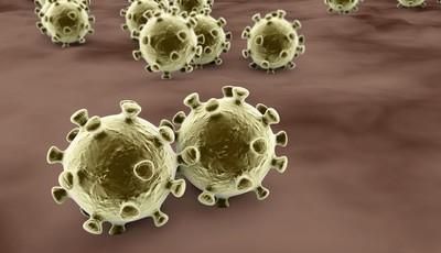 最近几天，新冠病毒每天新增上千确诊病例，该如何看待？