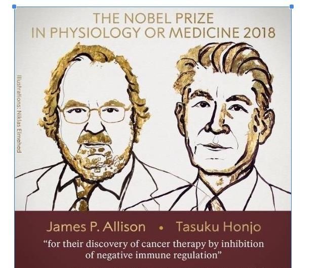 美日科学家斩获18年生理诺贝尔奖的癌症免疫疗法，如要落实到临床治疗还要多少年？