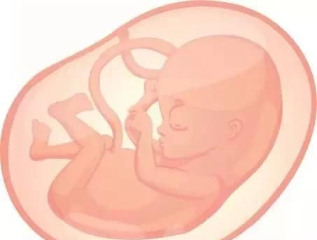 孕晚期，SD一直偏高，但每天的胎监正常，是什么原因啊？