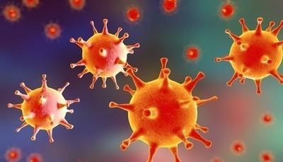 现在的新冠病毒会不会变异为一个新的病毒了？
