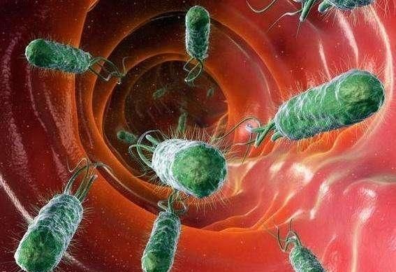 幽门螺旋杆菌引起的胃病会传染吗？